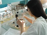 生物工程
